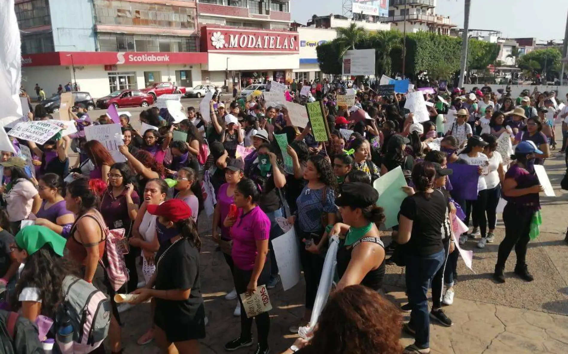 marcha palacio